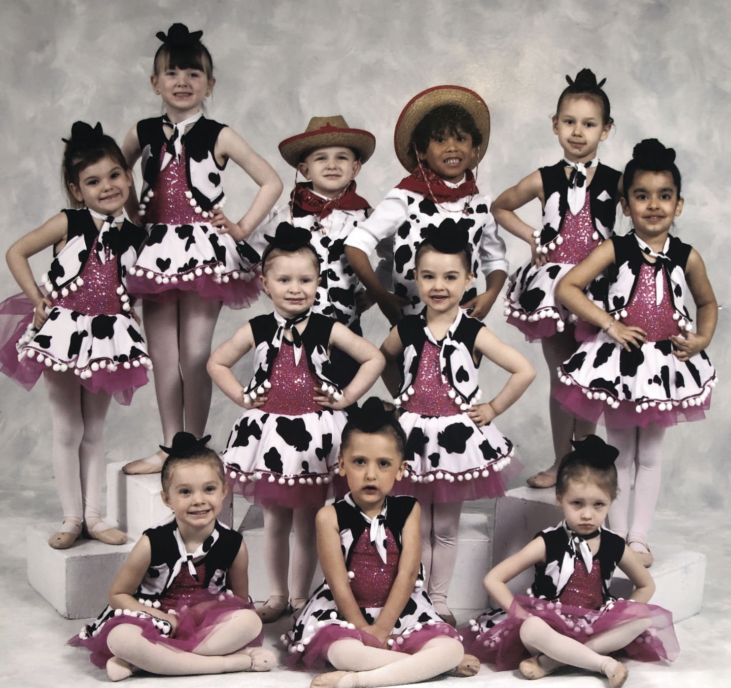 Festival of Dance to celebrate 20 years